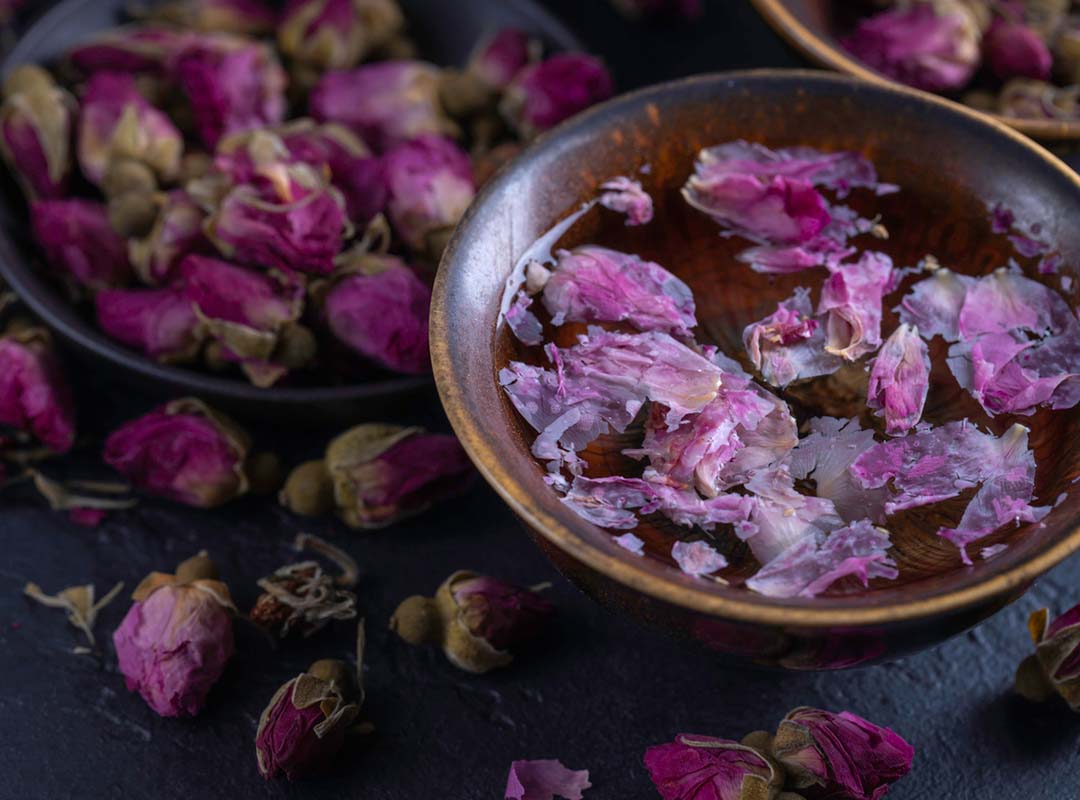 Cup of roses tea with rose buds on dark background.